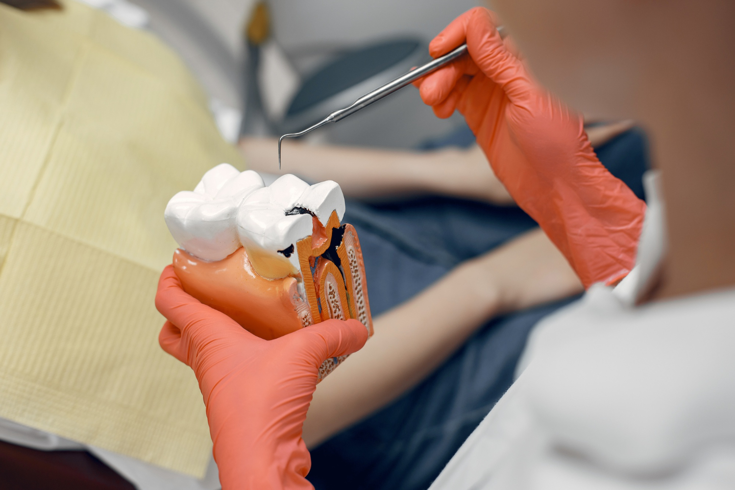 Endodontist in Bristol, TN
